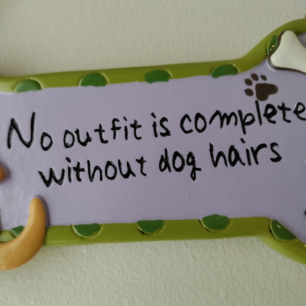 Dog Bone Shaped Decorative Sign - Green and Purple - Picture 7 of 7